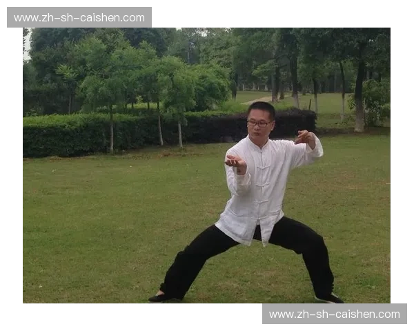 云手遇上重拳：当太极的“慢”撞上散打的“快”，谁才是真正的国术之王？